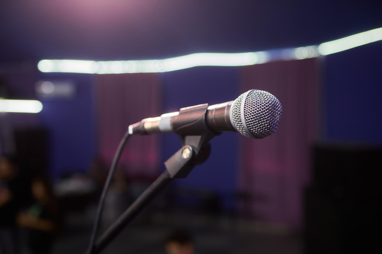 การร้องเพลงคาราโอเกะ